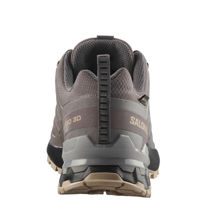 Кросівки Salomon Xa Pro 3D V9 GTX W - коричневий / чорний