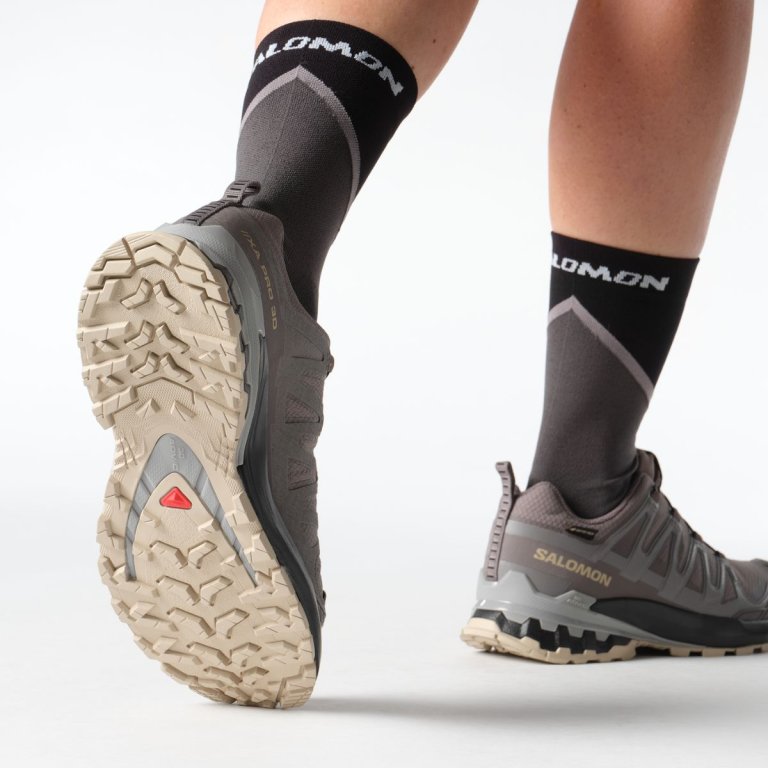 Кросівки Salomon Xa Pro 3D V9 GTX W - коричневий / чорний