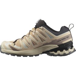 Кросівки Salomon Xa Pro 3D V9 GTX W - бежевий