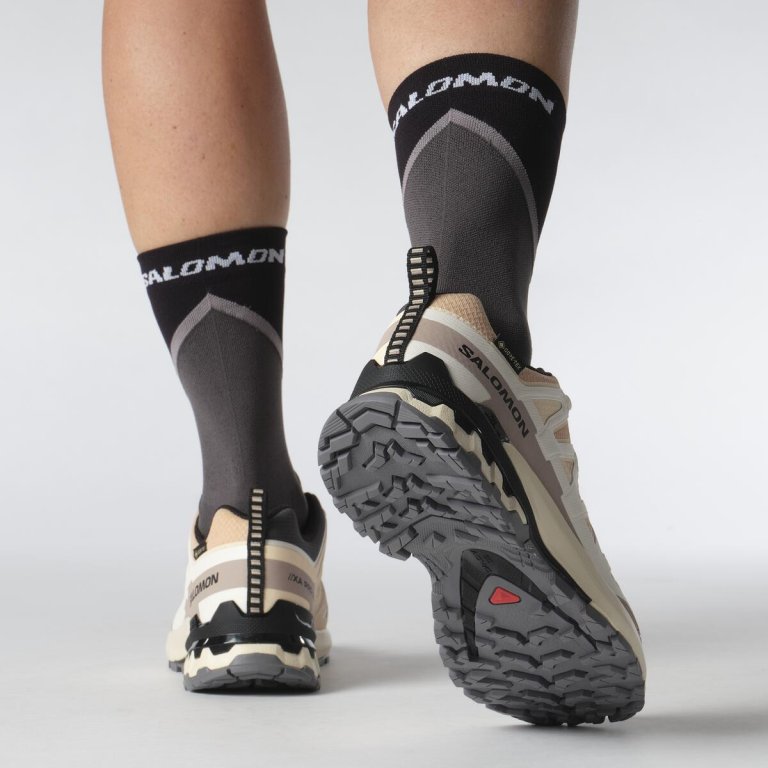 Кросівки Salomon Xa Pro 3D V9 GTX W - бежевий