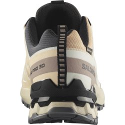 Кросівки Salomon Xa Pro 3D V9 GTX W - бежевий