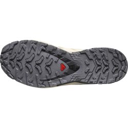 Кросівки Salomon Xa Pro 3D V9 GTX W - бежевий
