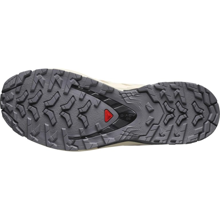 Кросівки Salomon Xa Pro 3D V9 GTX W - бежевий
