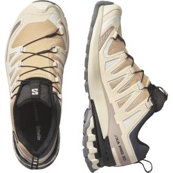 Кросівки Salomon Xa Pro 3D V9 GTX W - бежевий