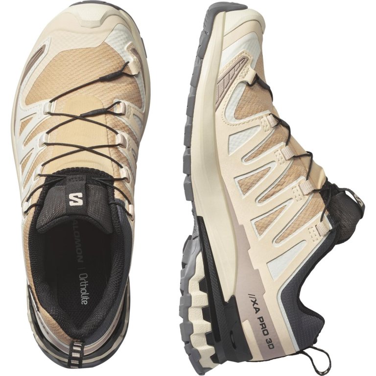 Кросівки Salomon Xa Pro 3D V9 GTX W - бежевий