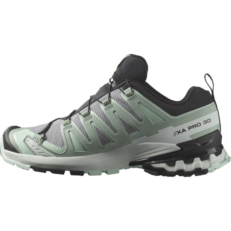 Кросівки Salomon Xa Pro 3D V9 GTX W -