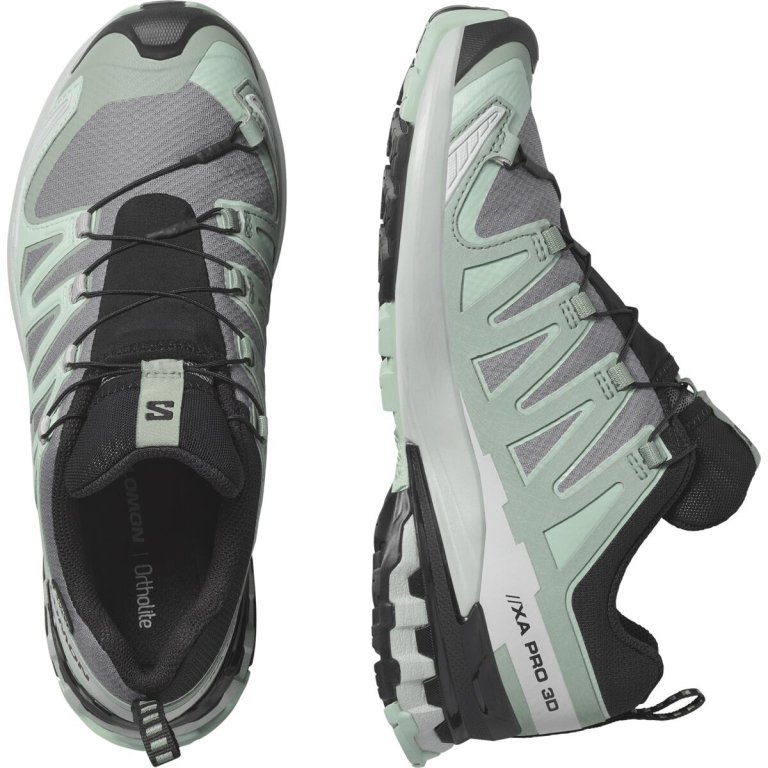 Кросівки Salomon Xa Pro 3D V9 GTX W -