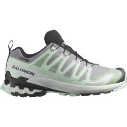 Кросівки Salomon Xa Pro 3D V9 GTX W -