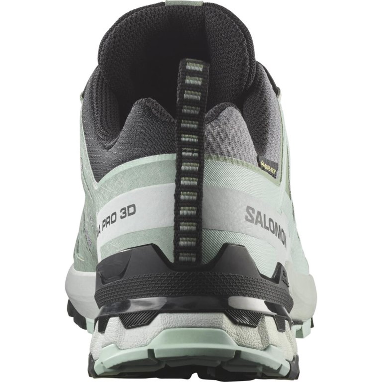 Кросівки Salomon Xa Pro 3D V9 GTX W -