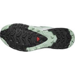 Кросівки Salomon Xa Pro 3D V9 GTX W -