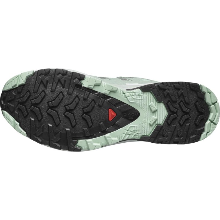 Кросівки Salomon Xa Pro 3D V9 GTX W -