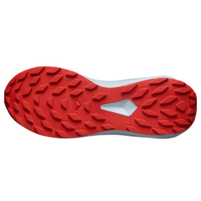 Кросівки Salomon Alphaglide M - сині