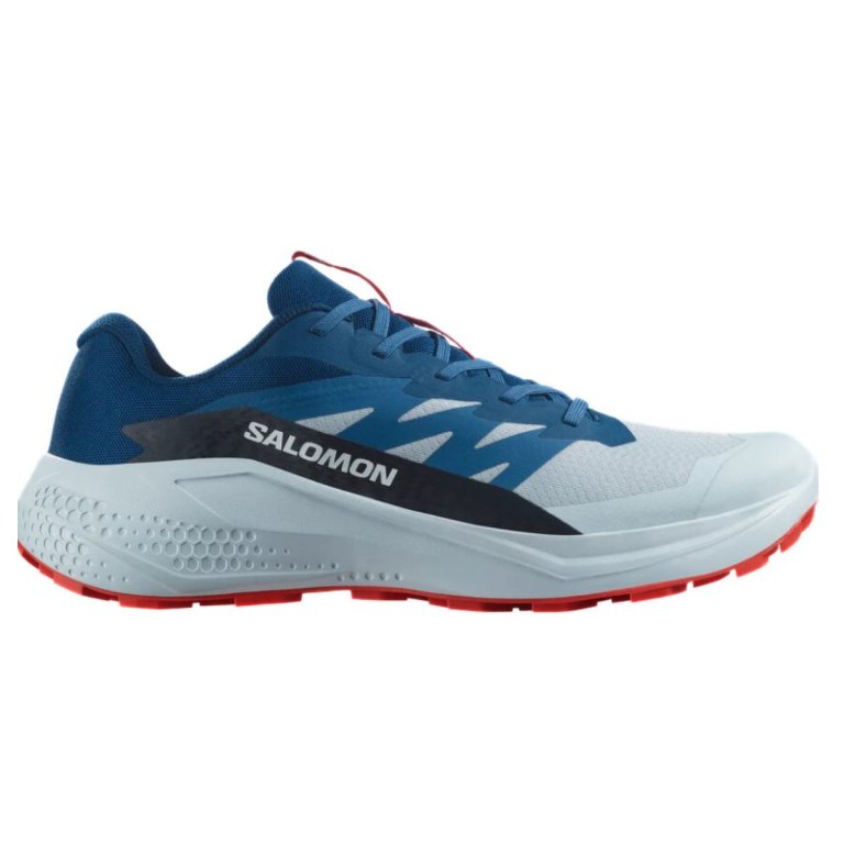 Кросівки Salomon Alphaglide M - сині