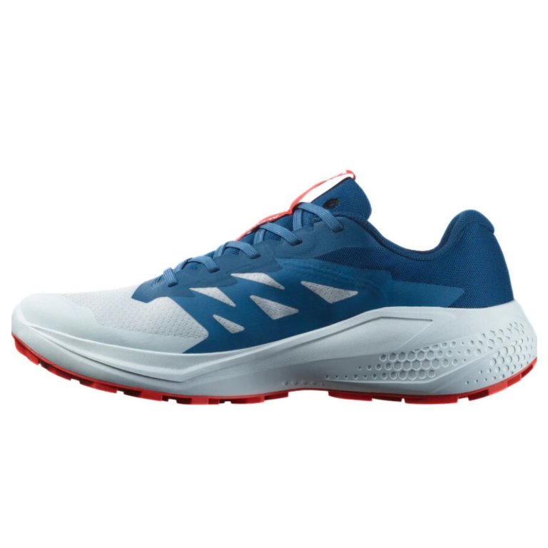 Кросівки Salomon Alphaglide M - сині