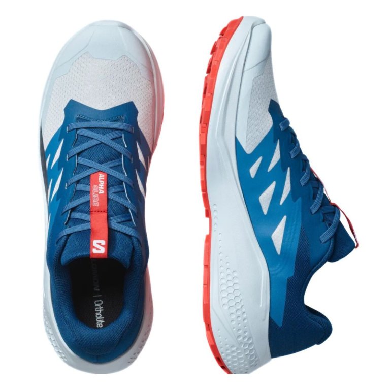 Кросівки Salomon Alphaglide M - сині