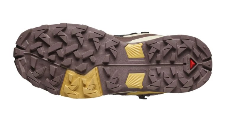 Взуття Salomon X Ultra 5 Mid GTX W - рожевий