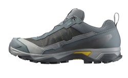 Взуття Salomon X Ultra 5 GTX M - сині/жовті