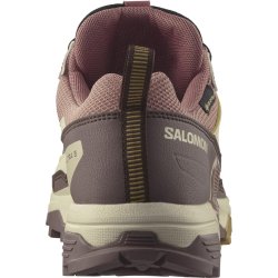 Взуття Salomon X Ultra 5 GTX W - рожевий