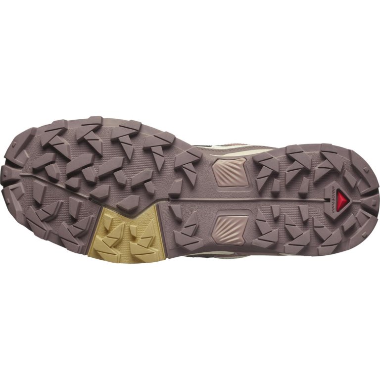 Взуття Salomon X Ultra 5 GTX W - рожевий