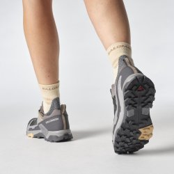 Взуття Salomon X Ultra 5 GTX W - сірий