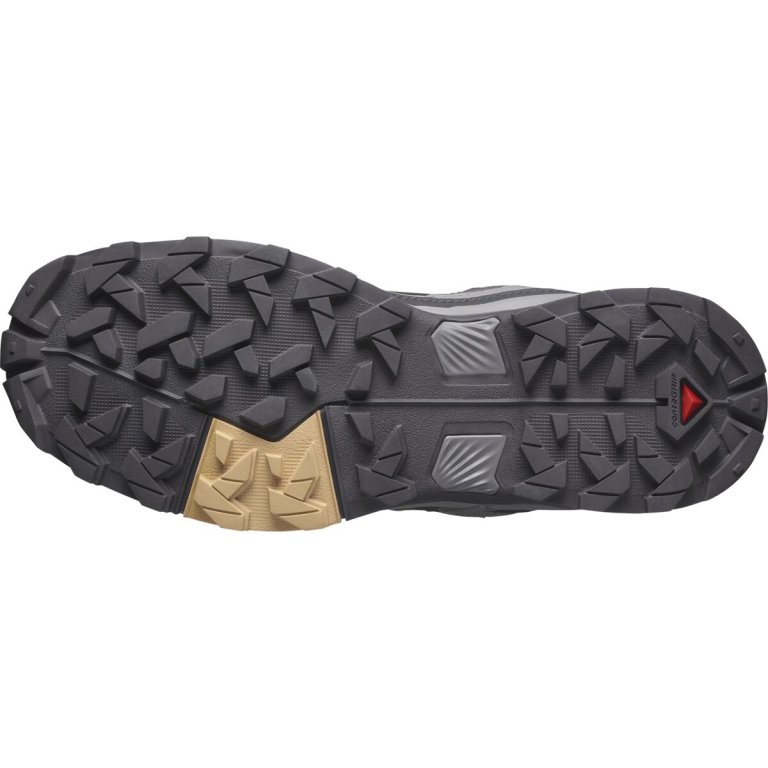Взуття Salomon X Ultra 5 GTX W - сірий