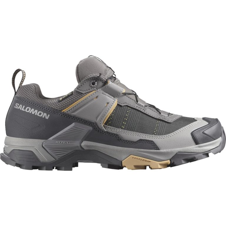 Взуття Salomon X Ultra 5 GTX W - сірий