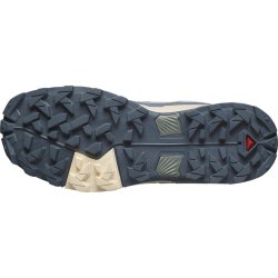 Взуття Salomon X Ultra 5 GTX W - зелений/синій