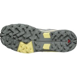 Взуття Salomon X Ultra 5 GTX W - синій/жовтий