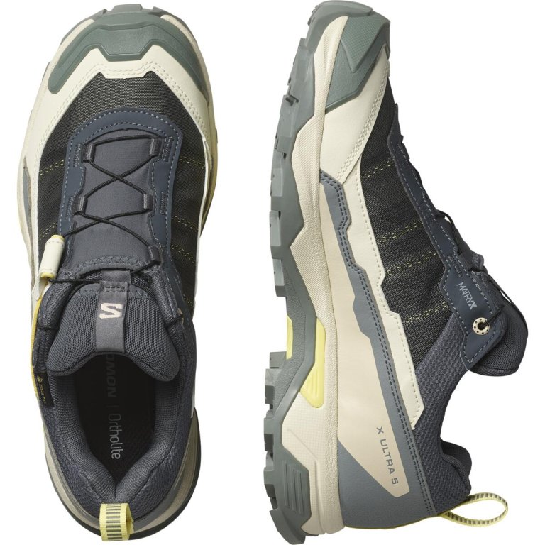 Взуття Salomon X Ultra 5 GTX W - синій/жовтий