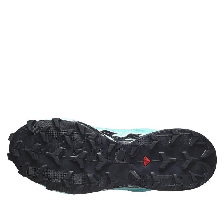 Кросівки Salomon Speedcross 6 GTX W - синій