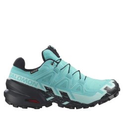 Кросівки Salomon Speedcross 6 GTX W - синій