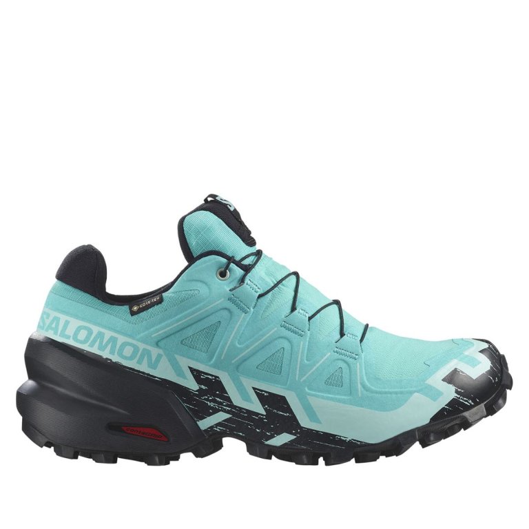 Кросівки Salomon Speedcross 6 GTX W - синій