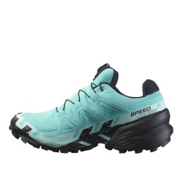 Кросівки Salomon Speedcross 6 GTX W - синій