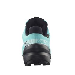 Кросівки Salomon Speedcross 6 GTX W - синій