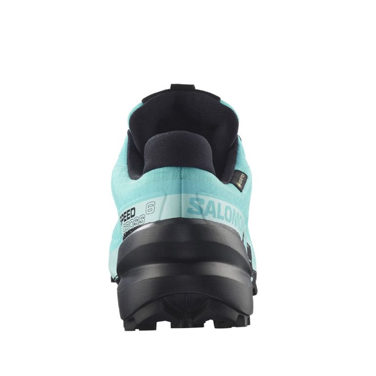 Кросівки Salomon Speedcross 6 GTX W - синій