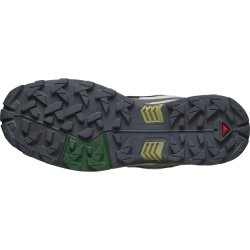 Взуття Salomon X Ultra 5 M - зелений
