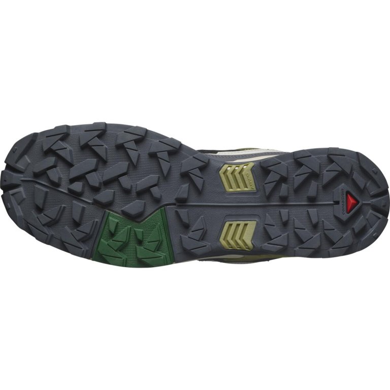Взуття Salomon X Ultra 5 M - зелений