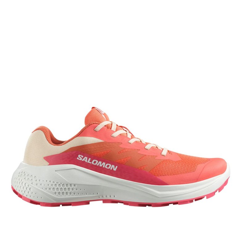 Кросівки Salomon Alphaglide W - помаранчевий