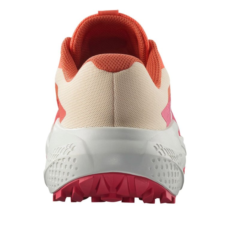 Кросівки Salomon Alphaglide W - помаранчевий
