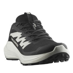 Кросівки Salomon Alphaglide W - чорний/бежевий