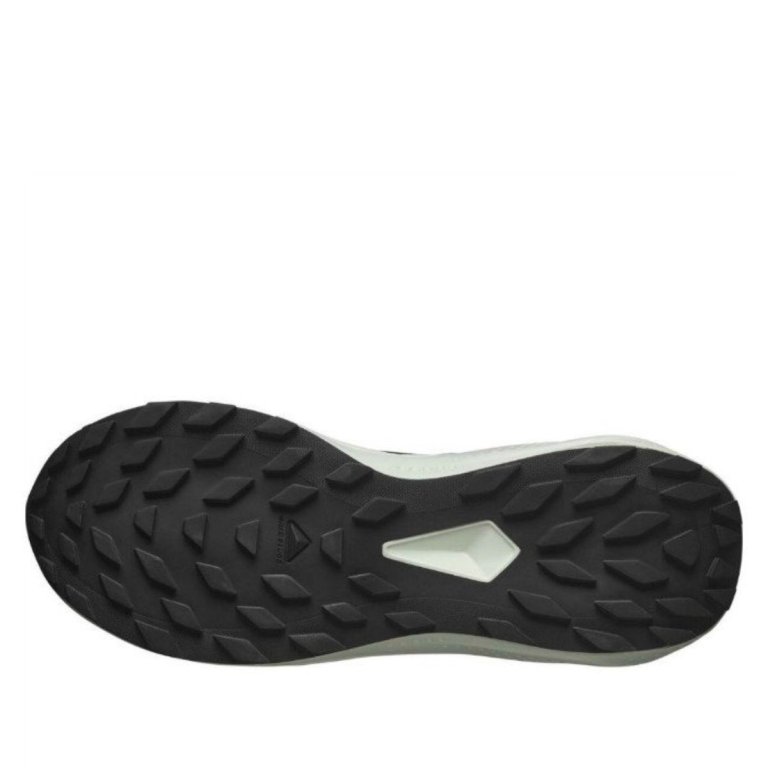 Кросівки Salomon Alphaglide W - чорний/бежевий