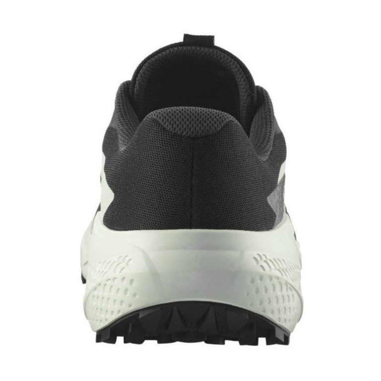 Кросівки Salomon Alphaglide W - чорний/бежевий