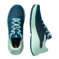 Кросівки Salomon Alphaglide M - зелений/синій