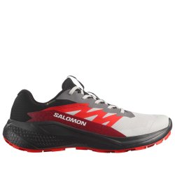 Кросівки Salomon Alphaglide GTX M - сірий / чорний / червоний
