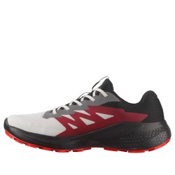 Кросівки Salomon Alphaglide GTX M - сірий / чорний / червоний