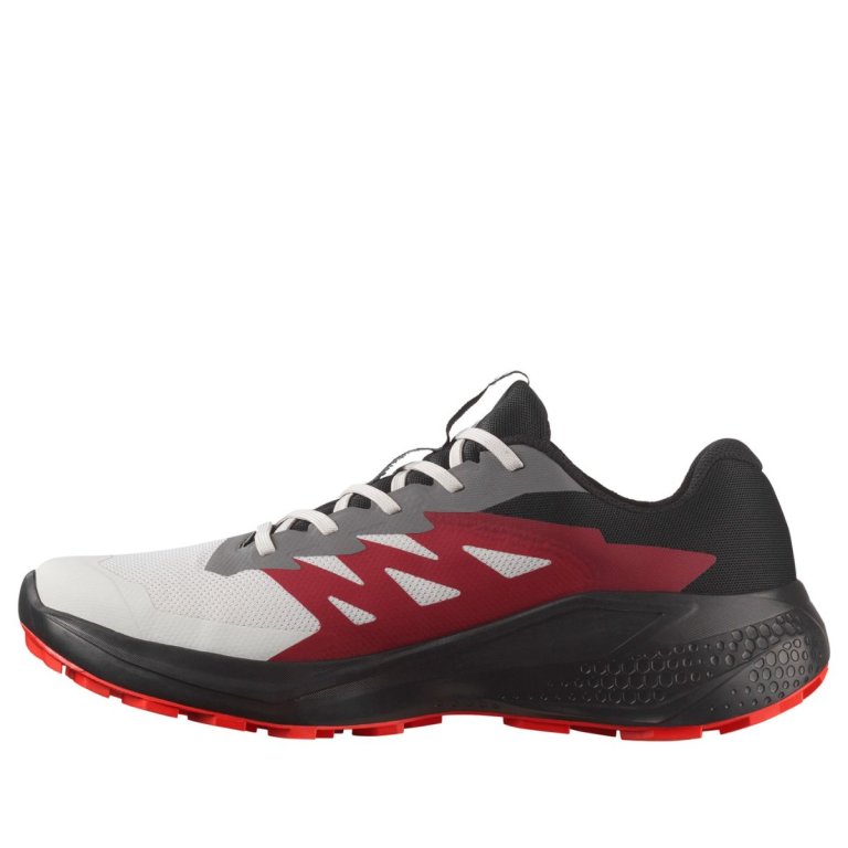 Кросівки Salomon Alphaglide GTX M - сірий / чорний / червоний