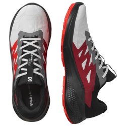 Кросівки Salomon Alphaglide GTX M - сірий / чорний / червоний