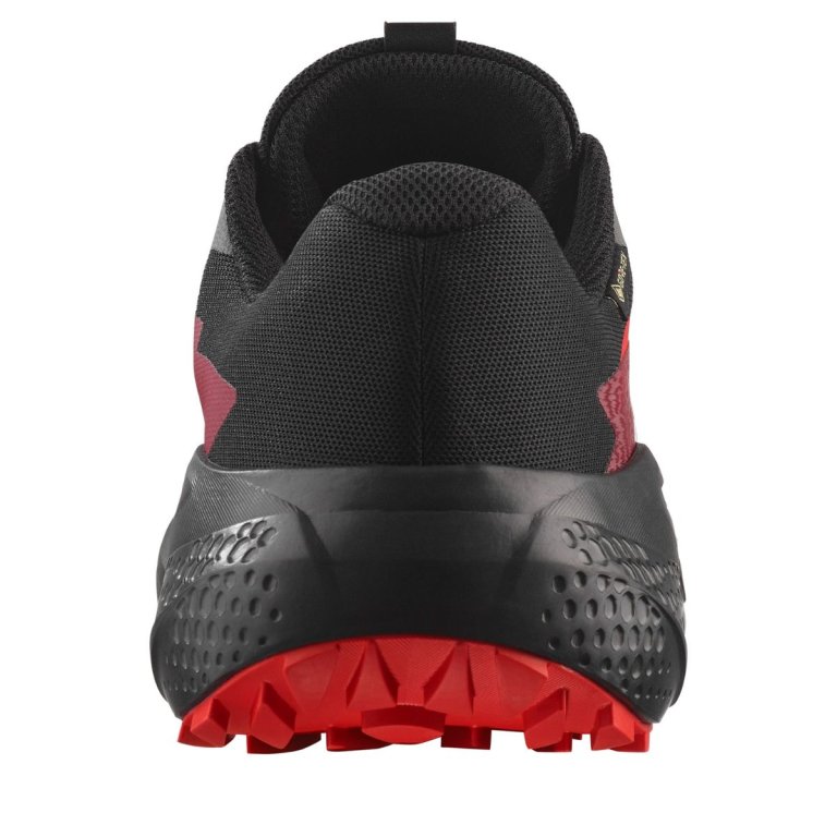 Кросівки Salomon Alphaglide GTX M - сірий / чорний / червоний