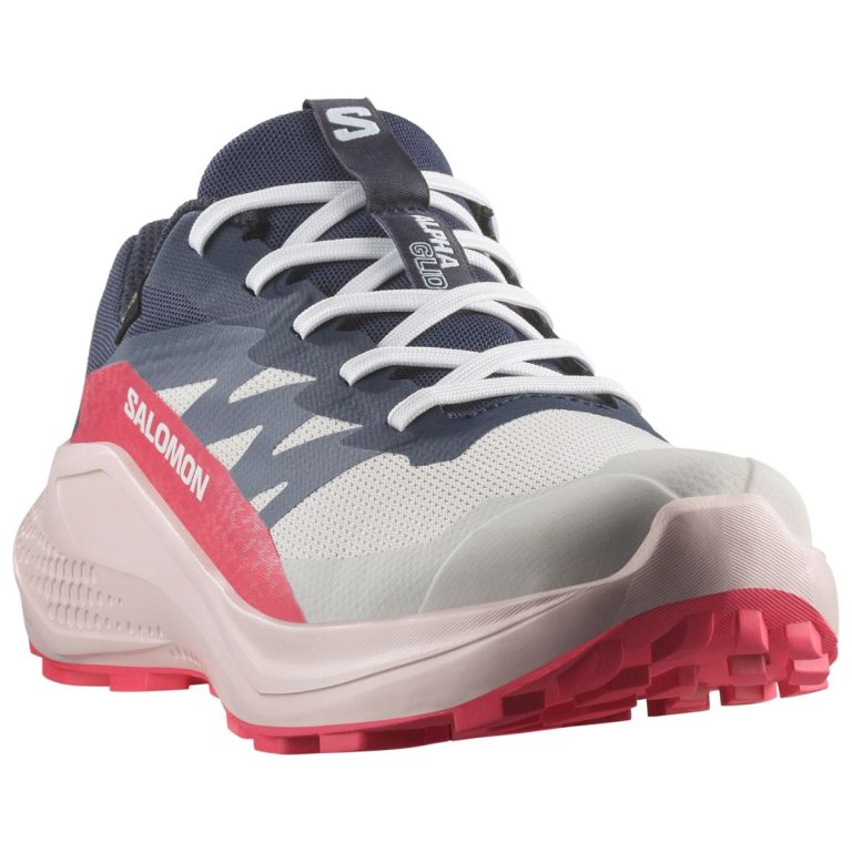 Кросівки Salomon Alphaglide GTX W - синій/червоний