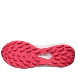 Кросівки Salomon Alphaglide GTX W - синій/червоний